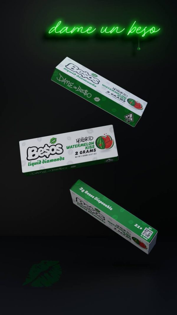 Besos 2g disposable Watermelon kiss