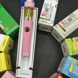 DIME INDUSTRIES 2G DISPOSABLE