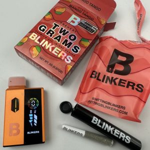 BLINKERS 2G DISPOSABLE + MINI HASH HOLE